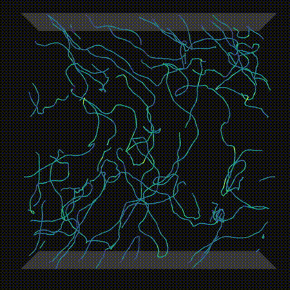 Vortex Tangle Visualization in the T=0 Limit